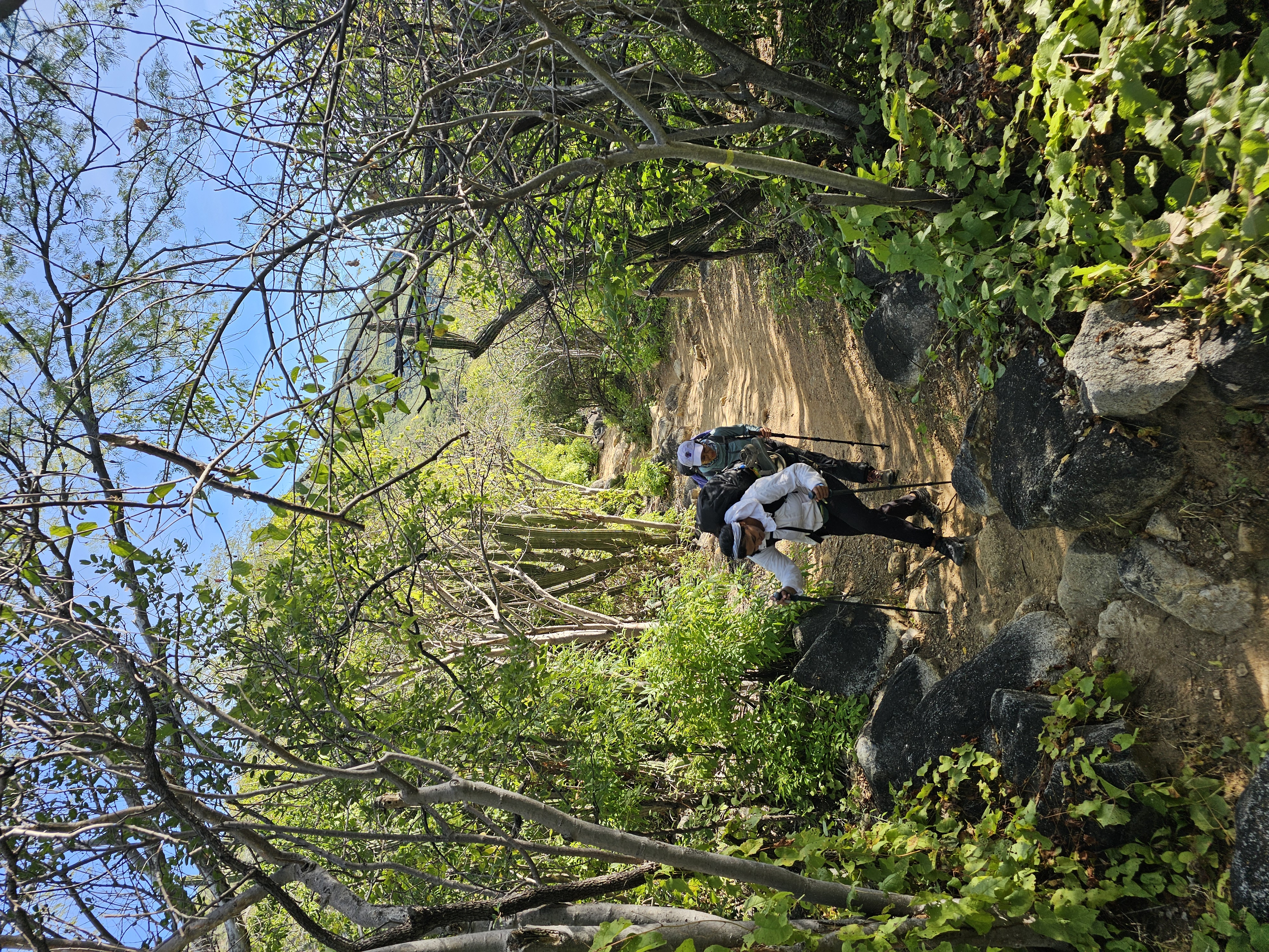 Sierra Laguna Biosfera